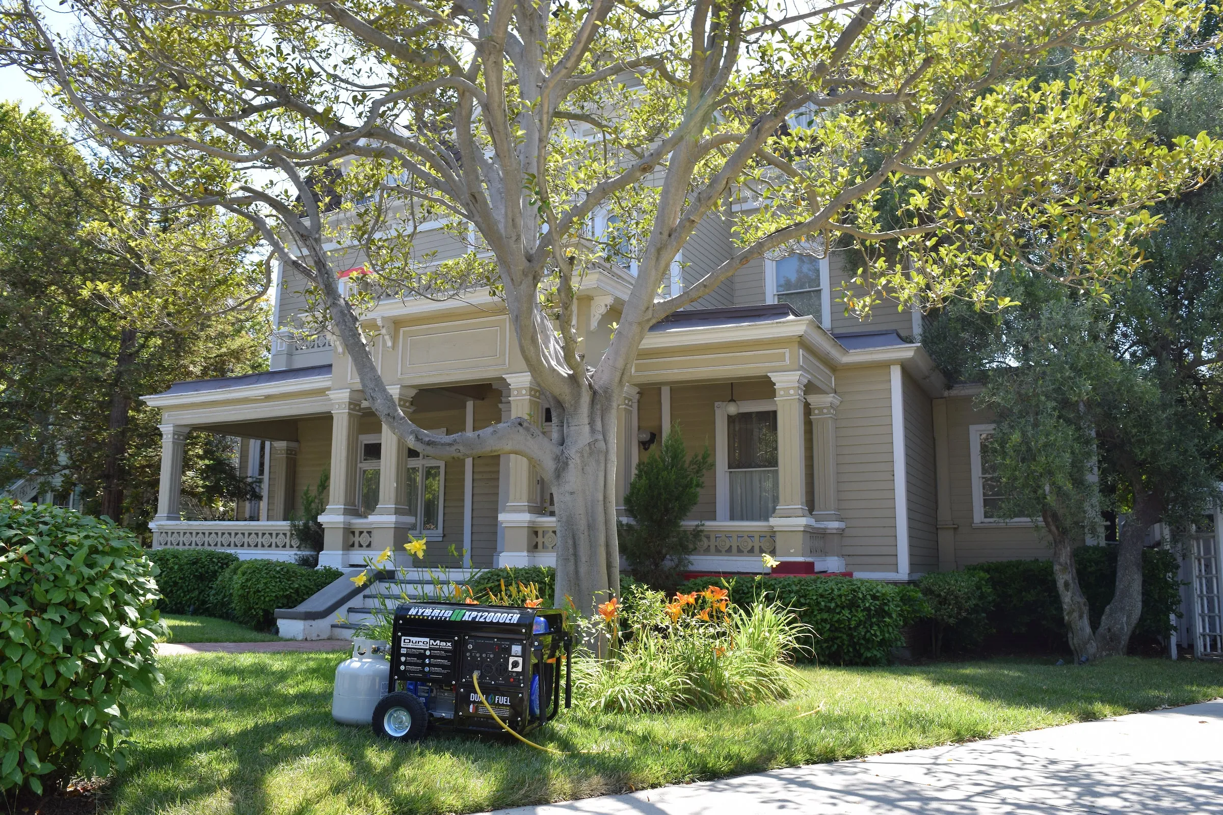 12,000 Watt Dual Fuel Portable Generator