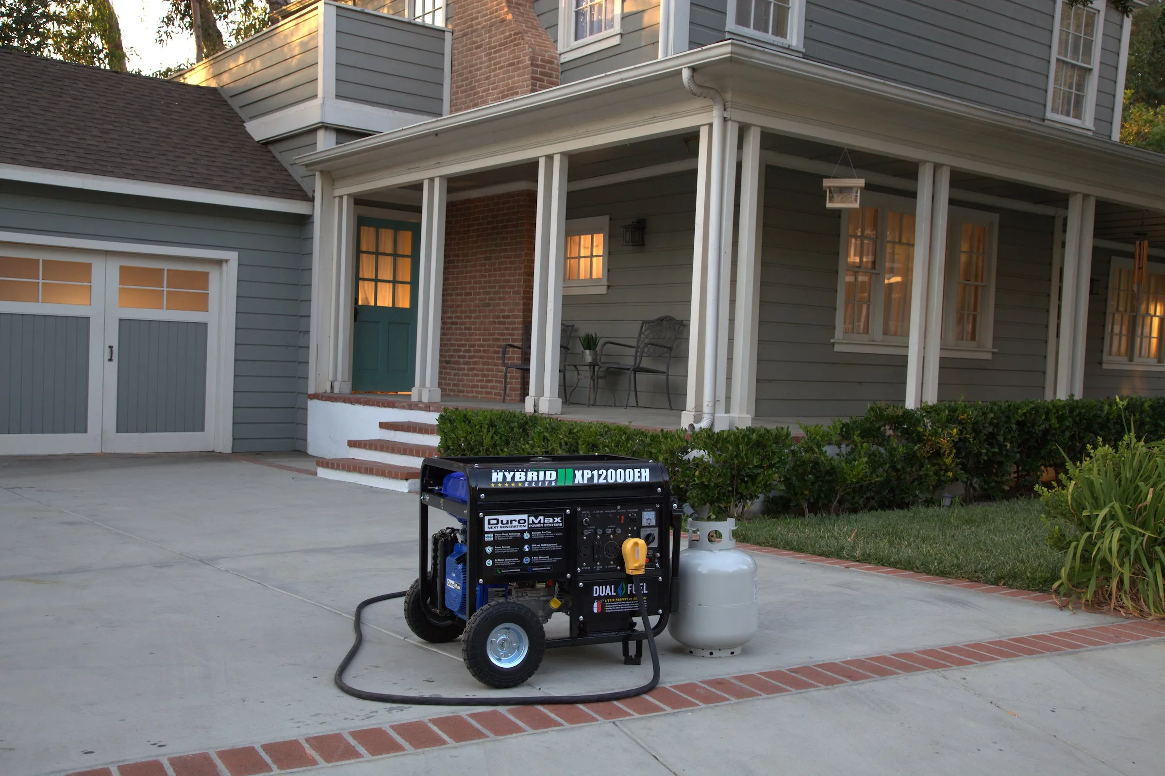 12,000 Watt Dual Fuel Portable Generator