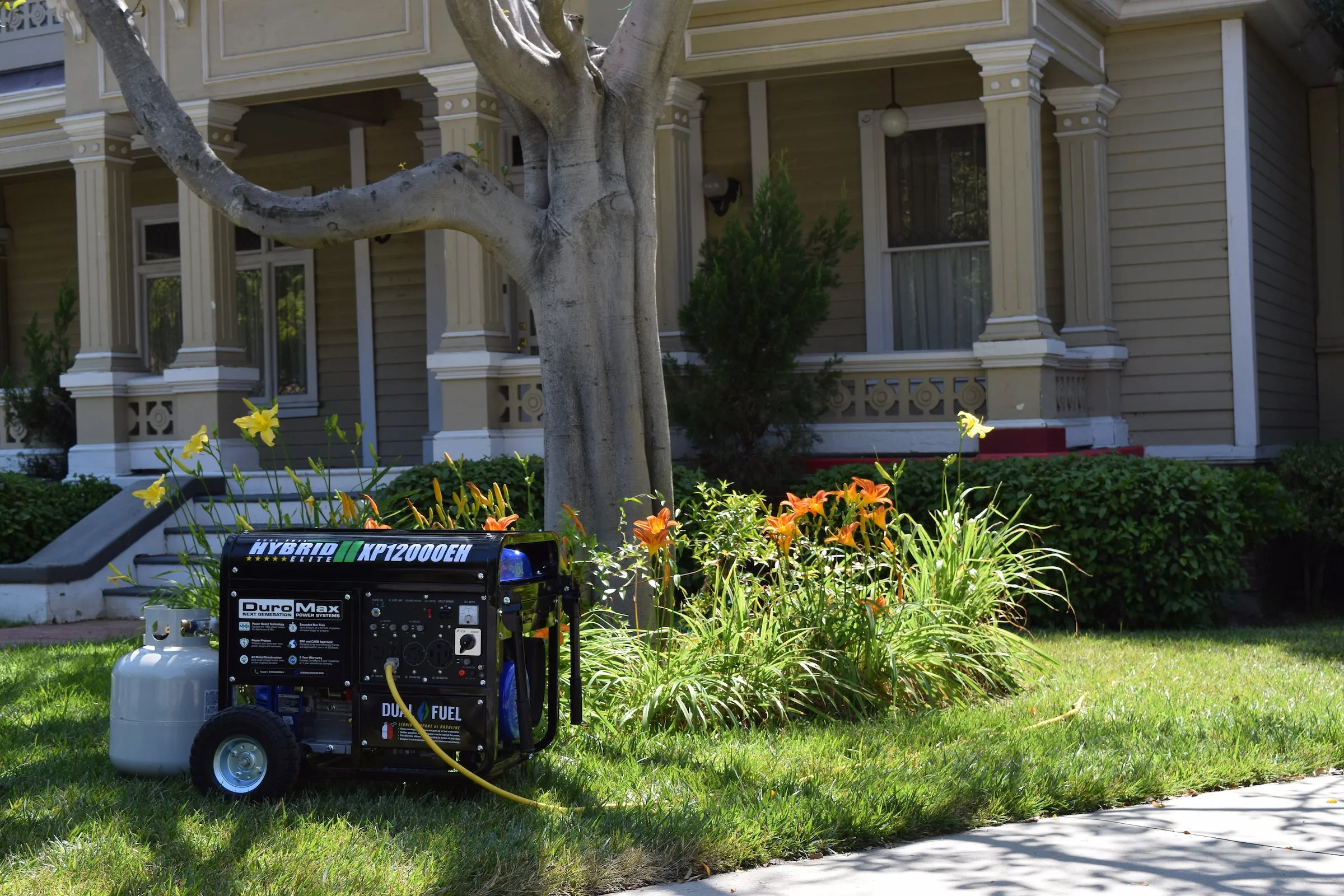 12,000 Watt Dual Fuel Portable Generator