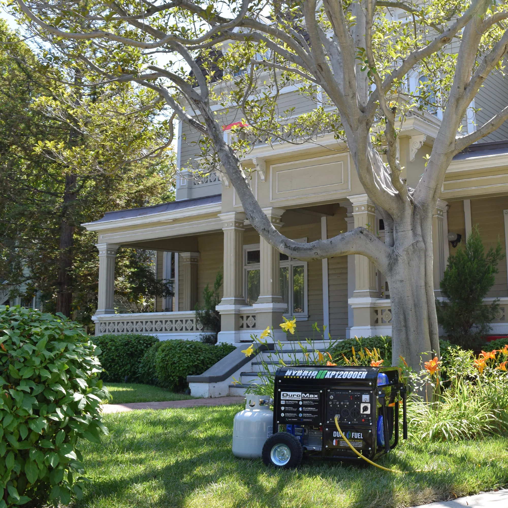 12,000 Watt Dual Fuel Portable Generator