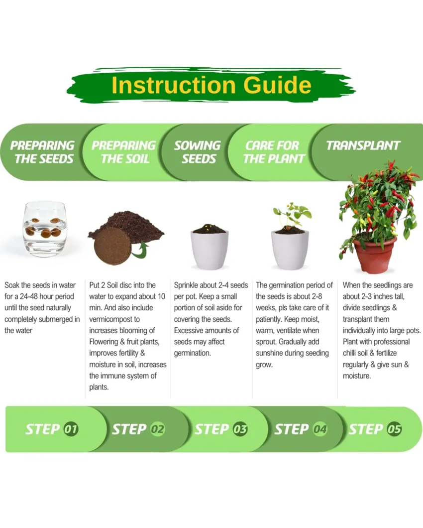 3 in 1 DIY Grow Kit Coir Chilli Pepper Plant | Set of 3 | 4 x 4 x 3 inches