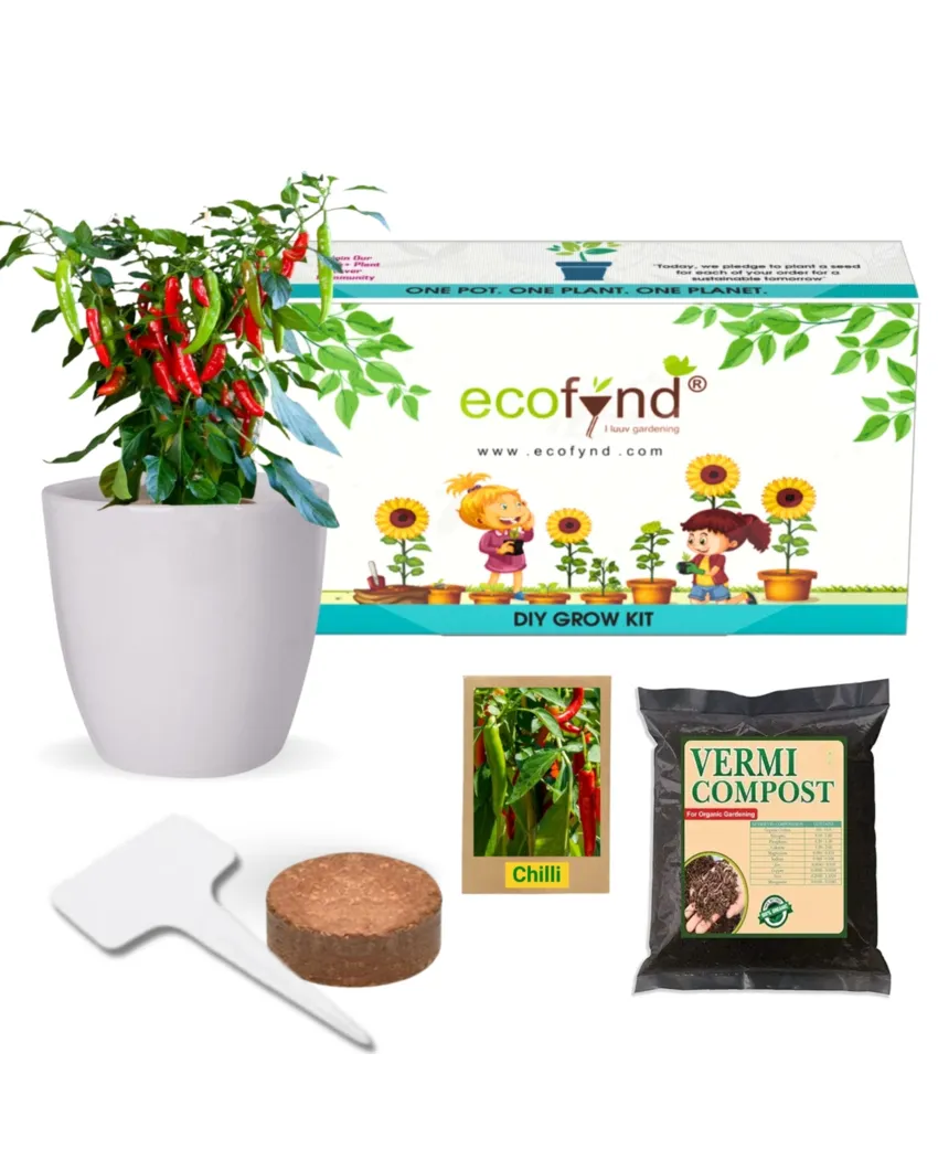 3 in 1 DIY Grow Kit Coir Chilli Pepper Plant | Set of 3 | 4 x 4 x 3 inches