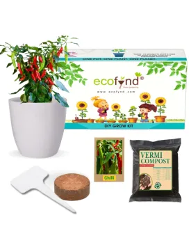 3 in 1 DIY Grow Kit Coir Chilli Pepper Plant | Set of 3 | 4 x 4 x 3 inches