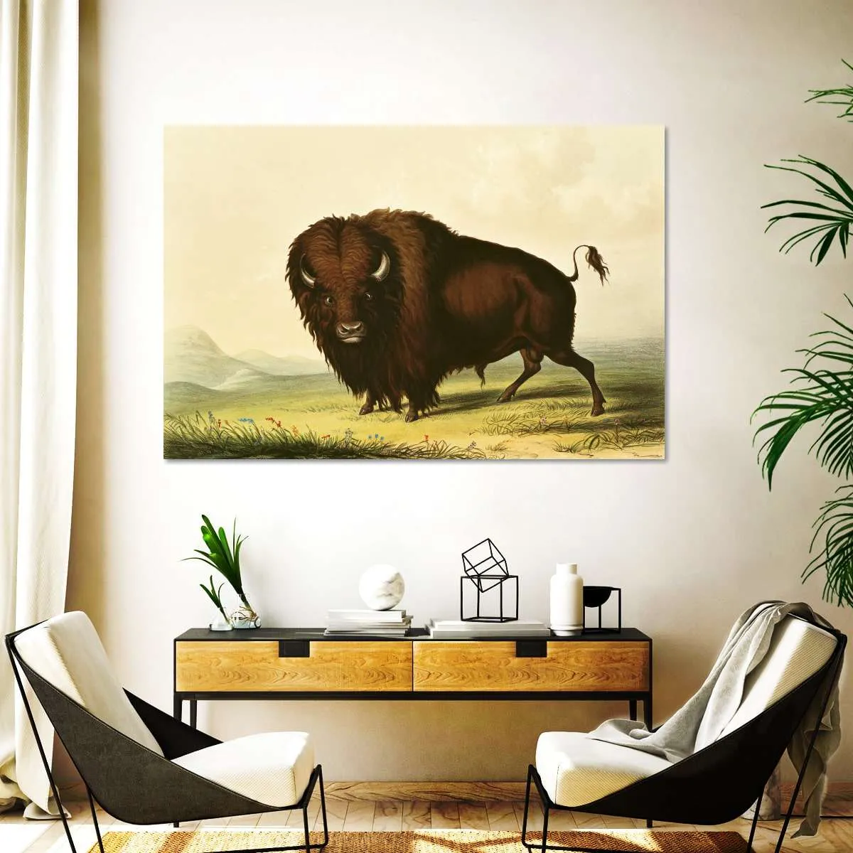 A Bison Wall Art