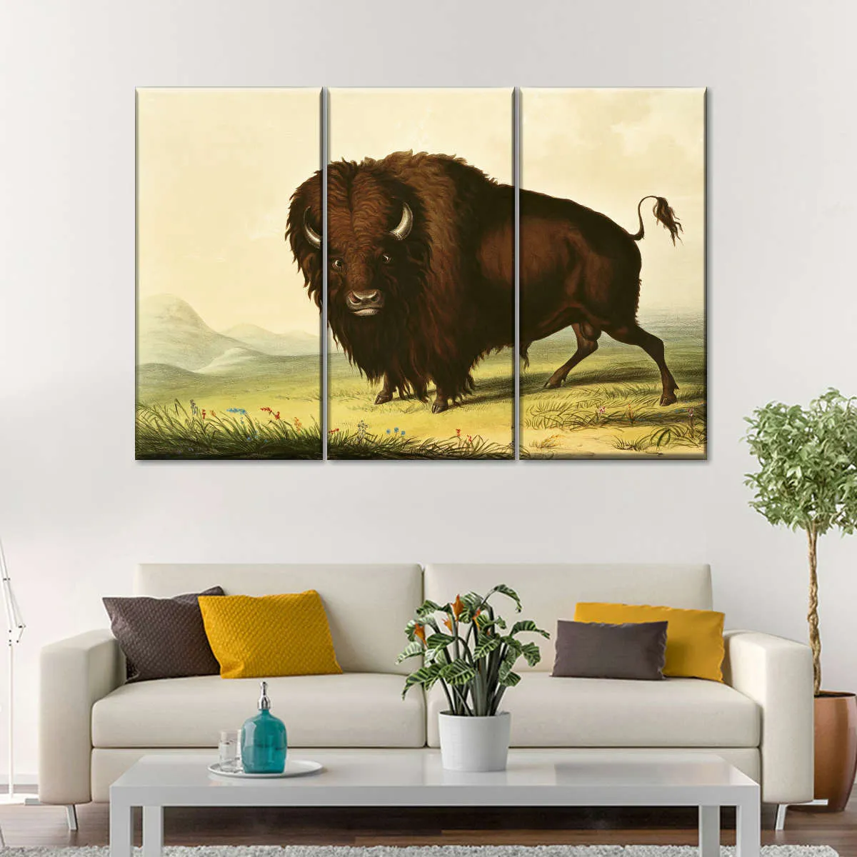 A Bison Wall Art