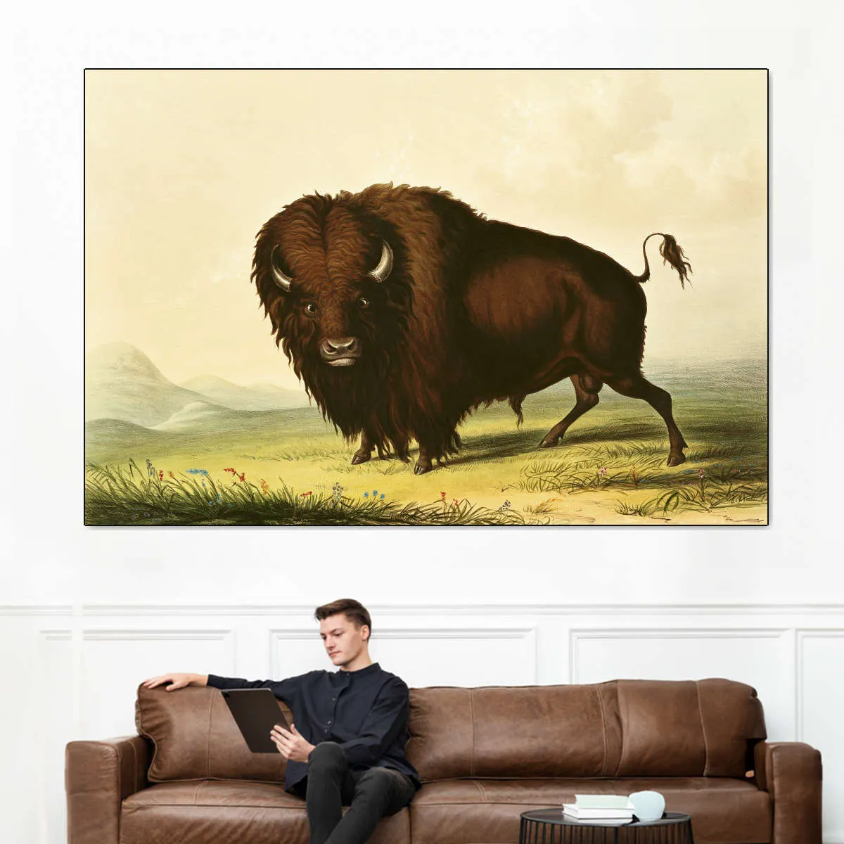 A Bison Wall Art