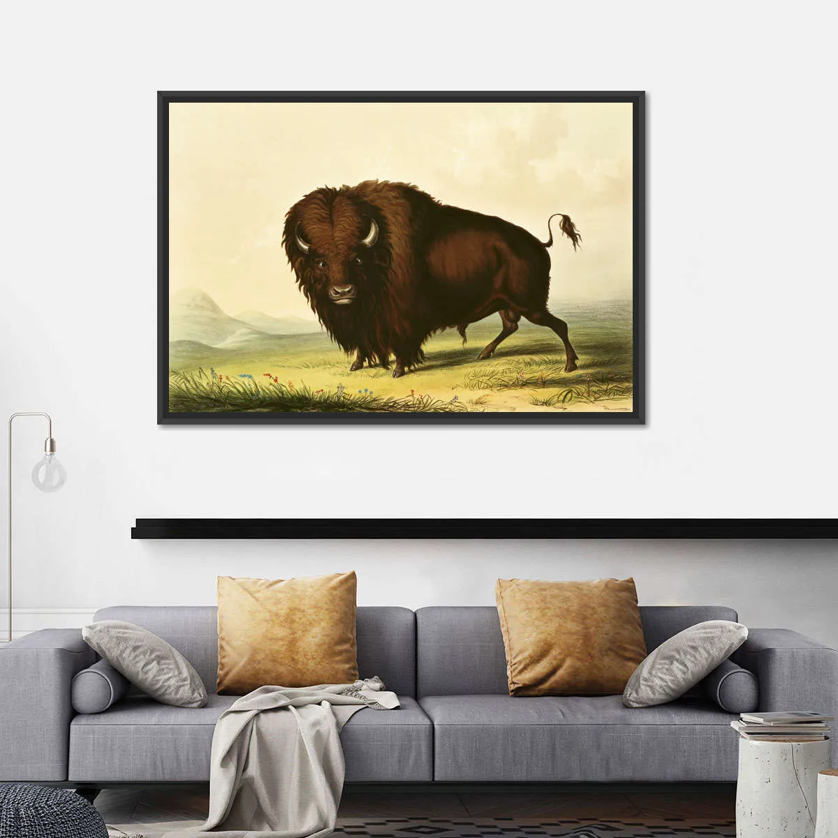 A Bison Wall Art