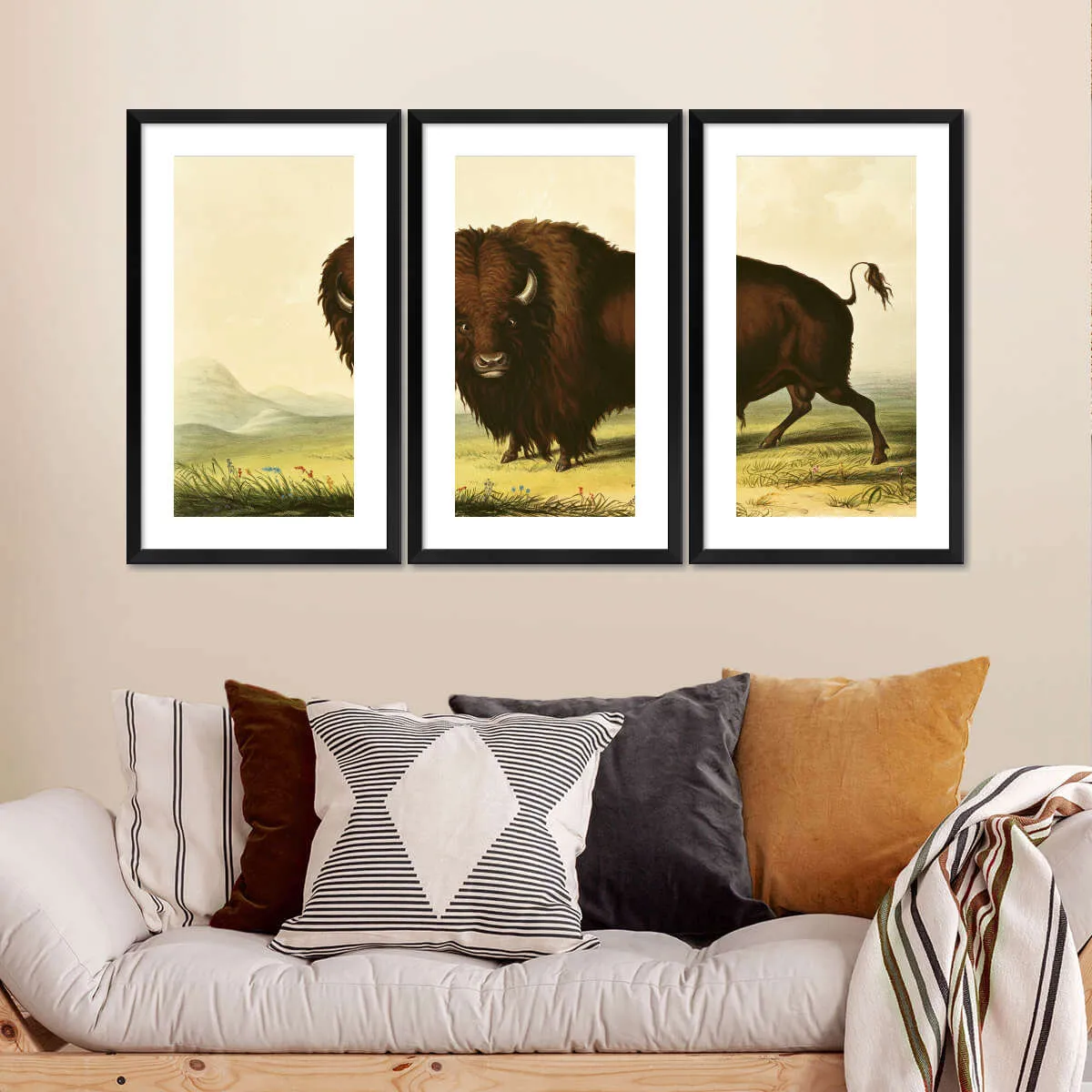 A Bison Wall Art