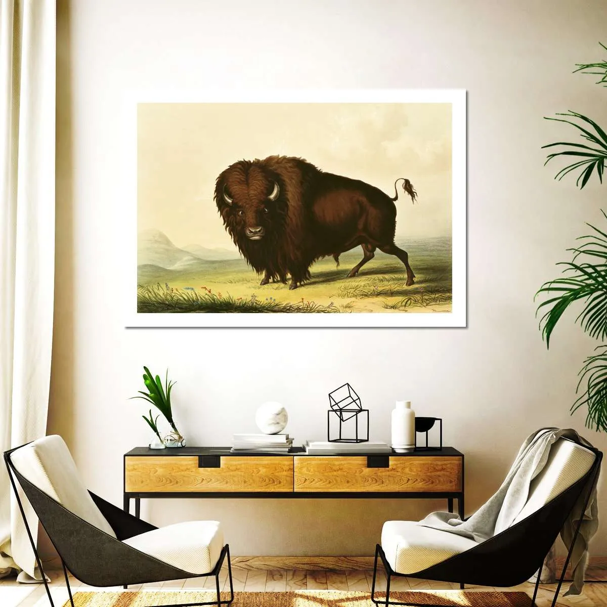 A Bison Wall Art