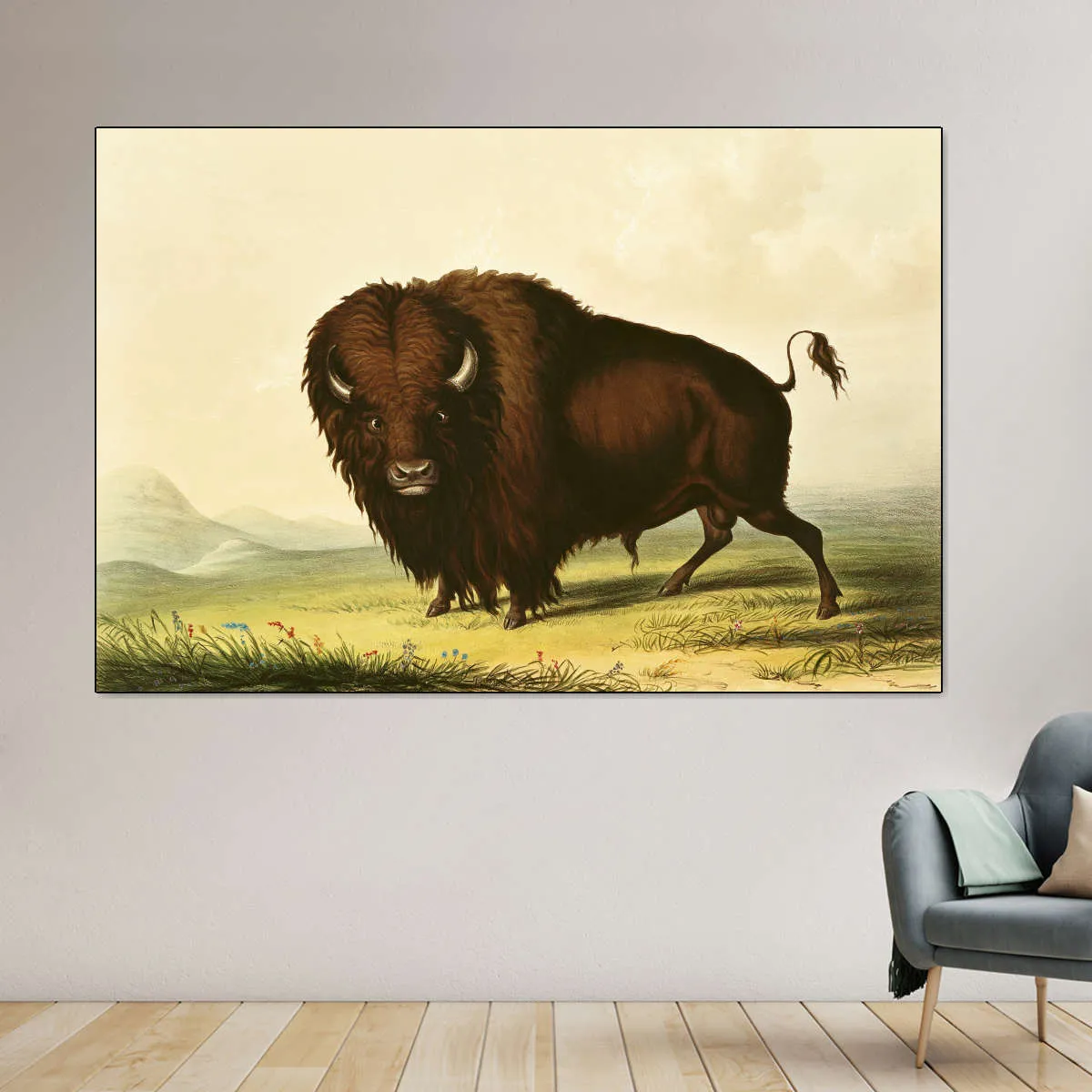 A Bison Wall Art