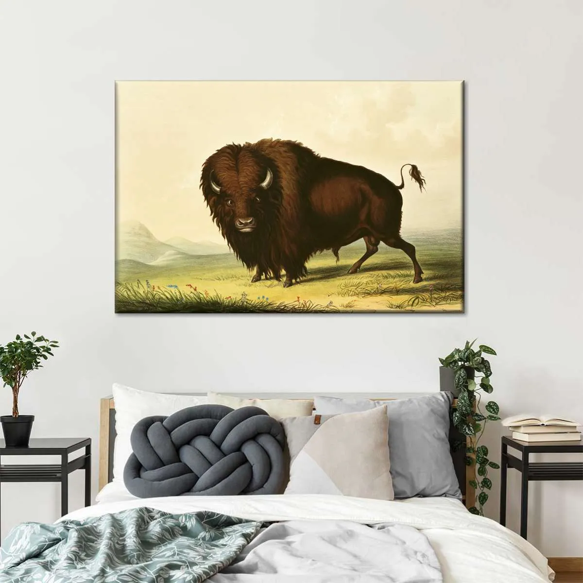 A Bison Wall Art