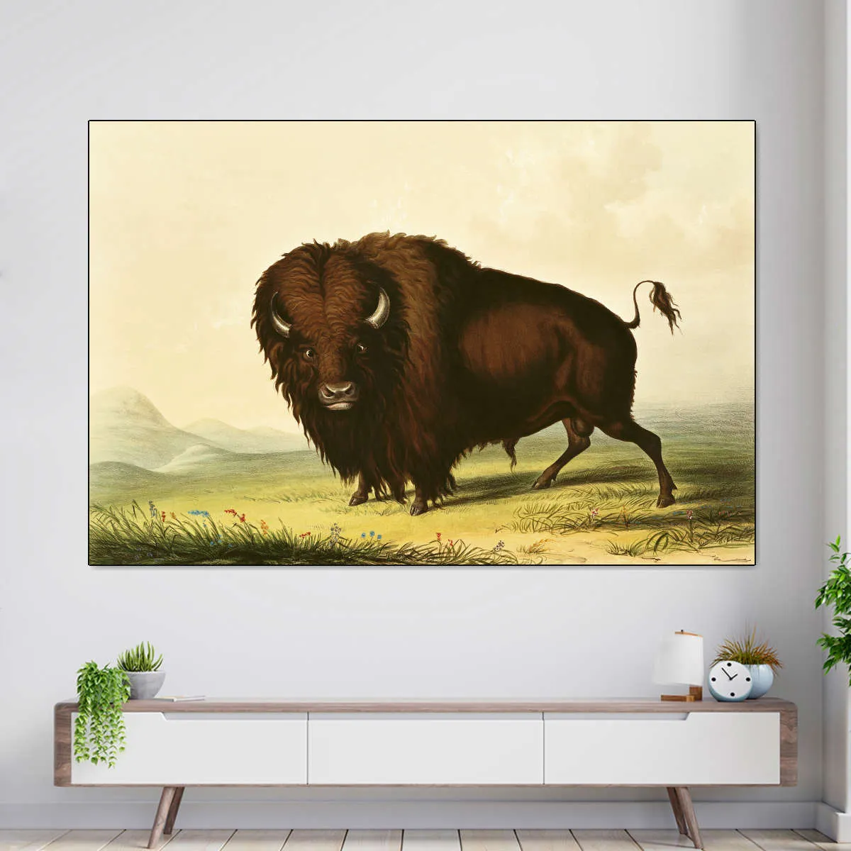 A Bison Wall Art