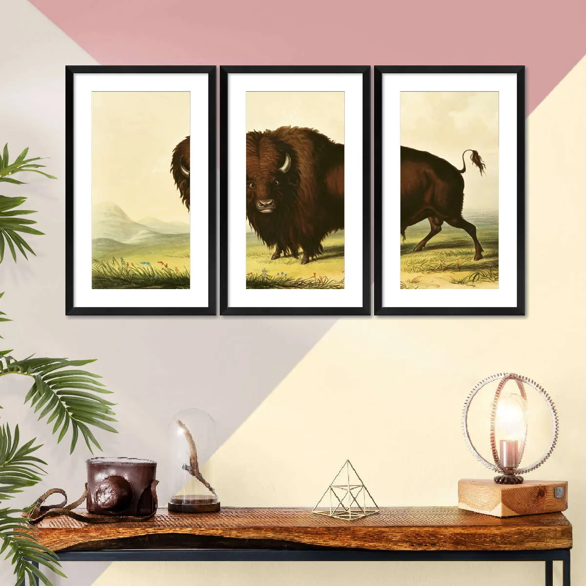 A Bison Wall Art