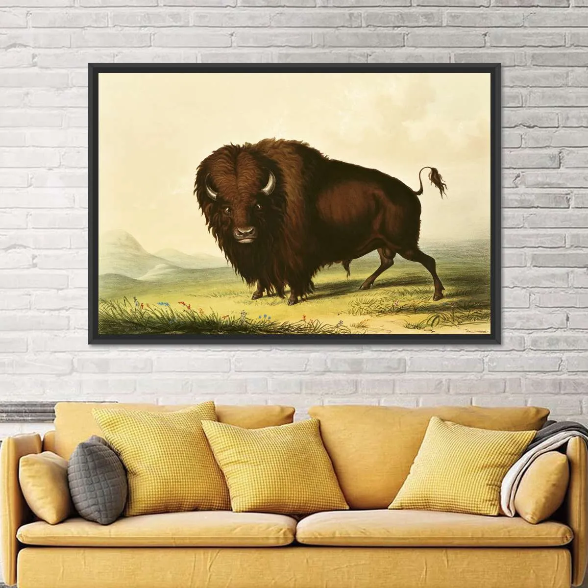 A Bison Wall Art