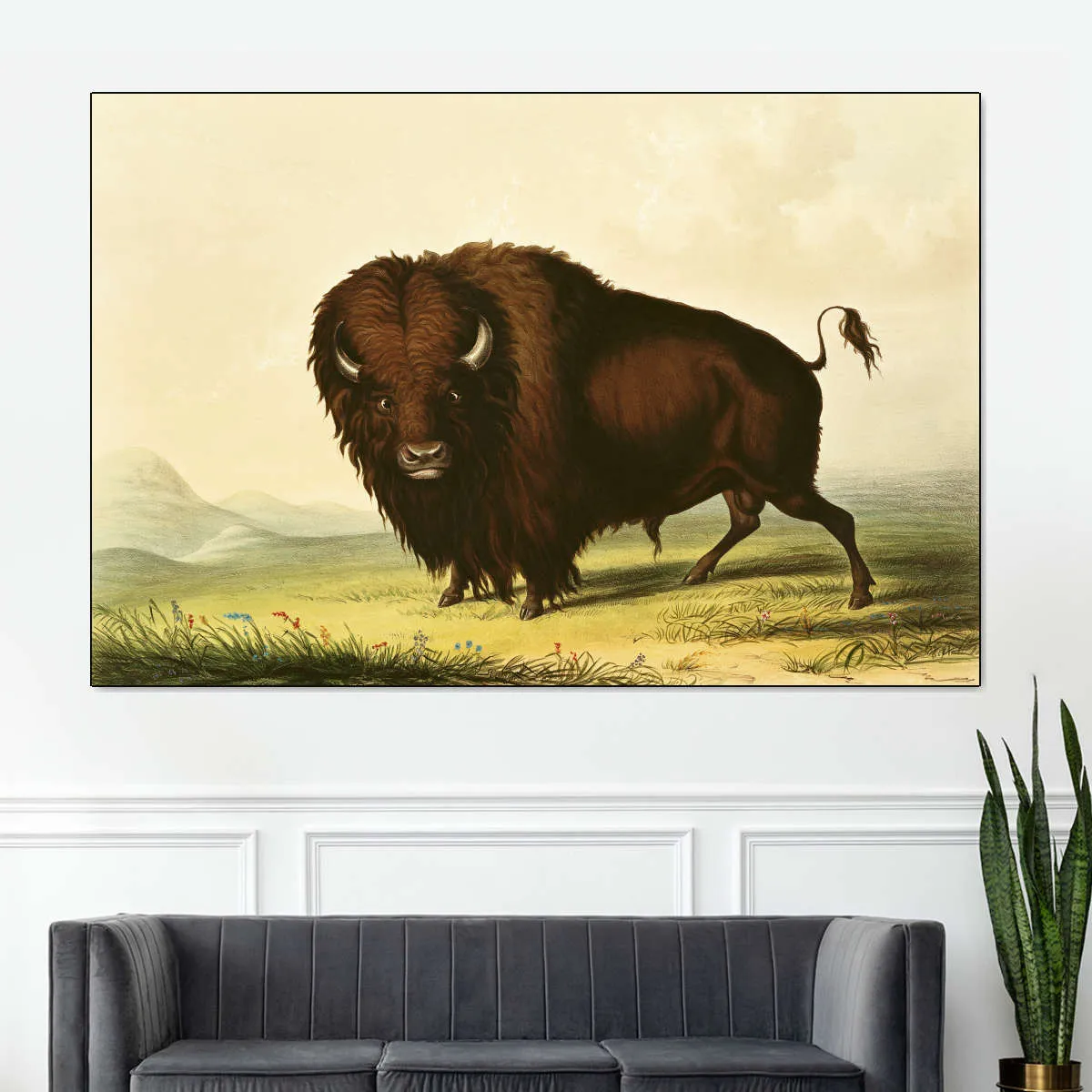 A Bison Wall Art