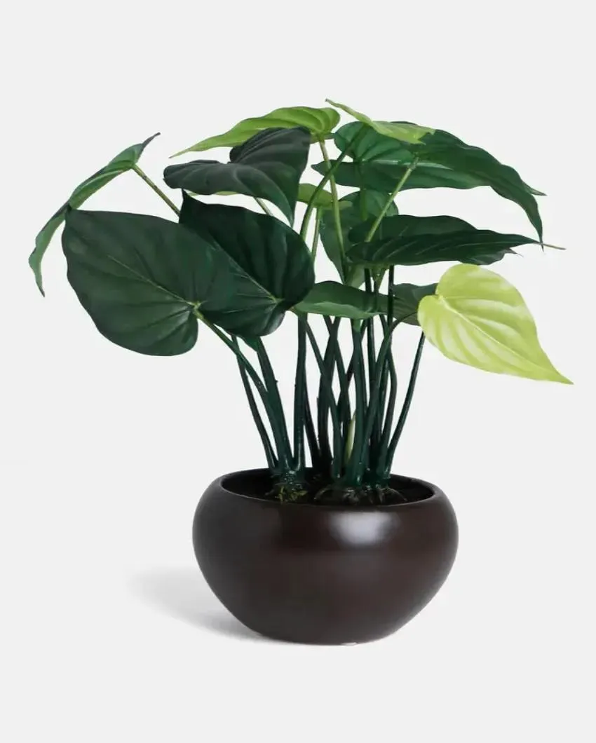 Alocasia Artificial Bonsai Plant with Ceramic Pot | 1.25 feet