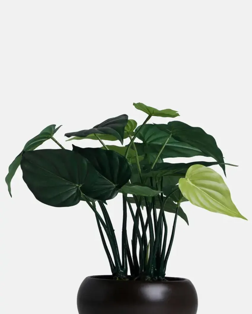 Alocasia Artificial Bonsai Plant with Ceramic Pot | 1.25 feet