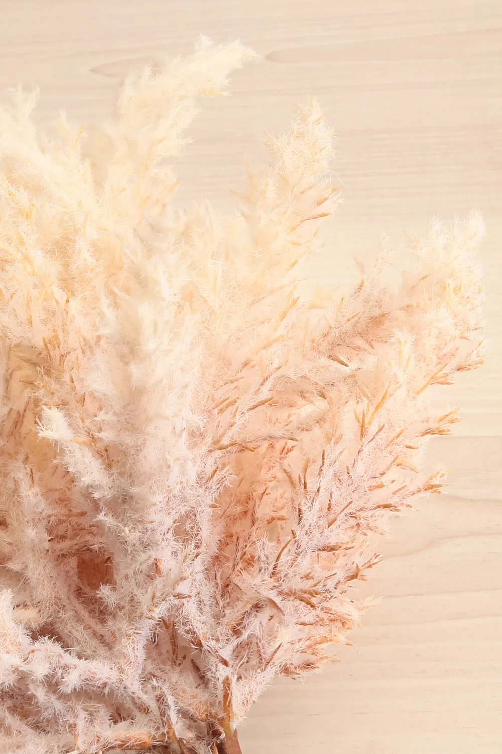 Animas Pink | Artificial Pampas Flowers