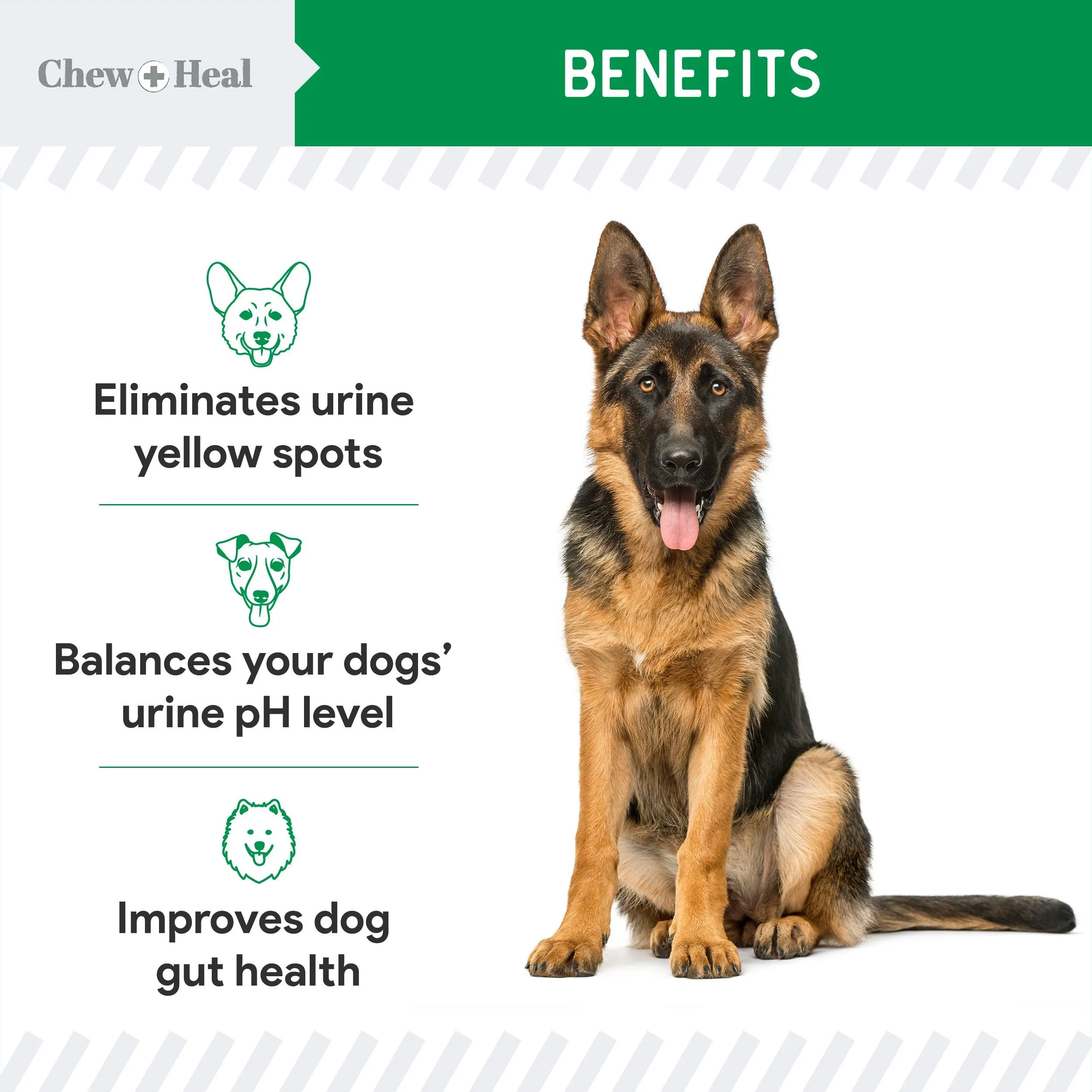 Chew   Heal Grass Saver Chews For Dogs