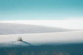 Dunescape