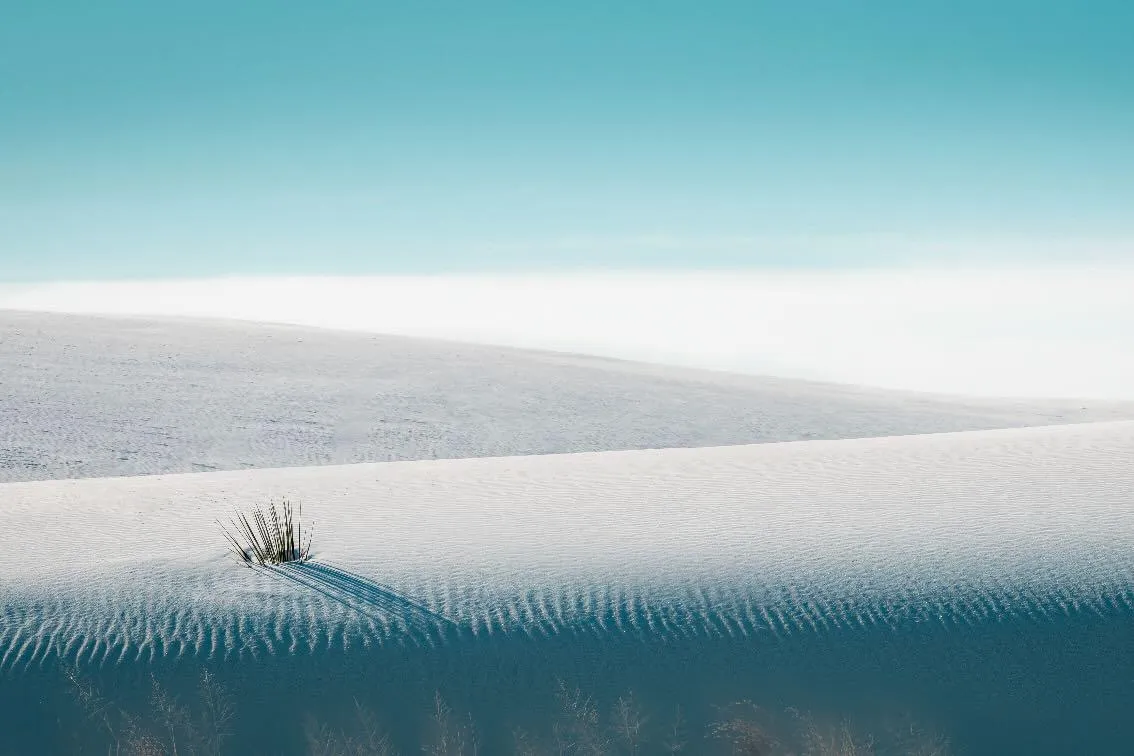 Dunescape