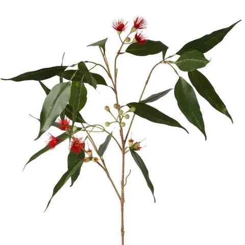 Eucalyptus Flower Spray 92cm Red & Green