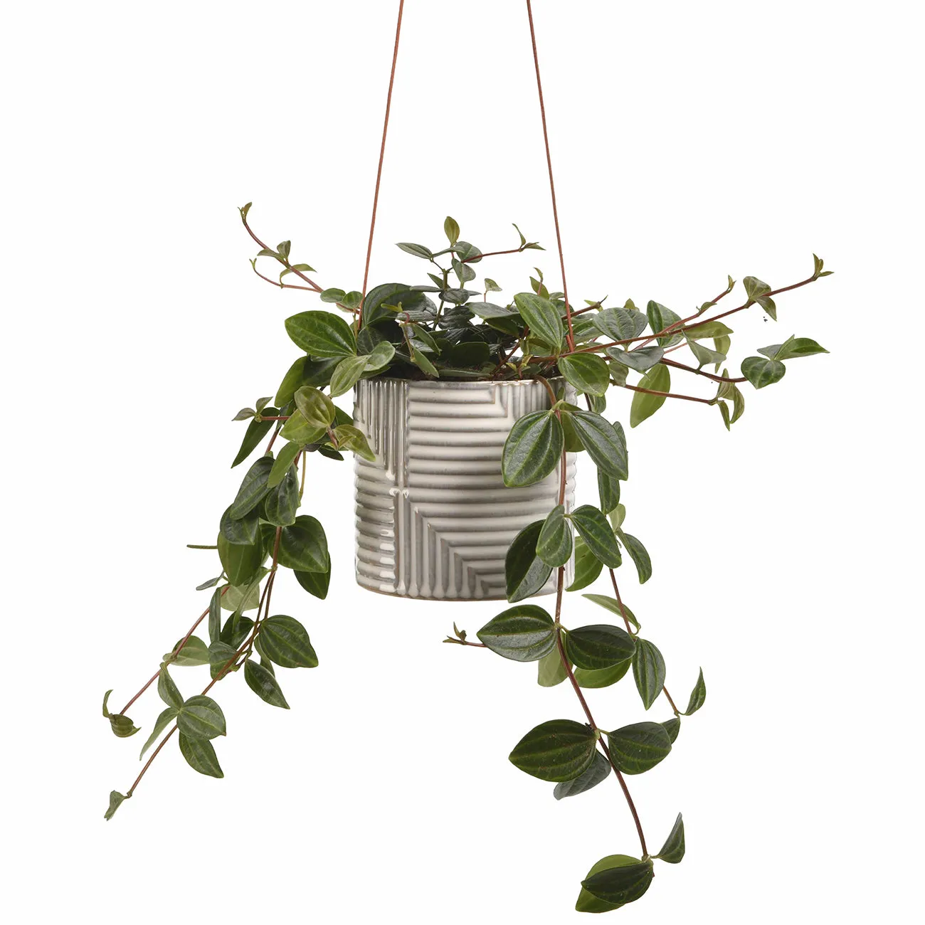 Modena Hanging Pot