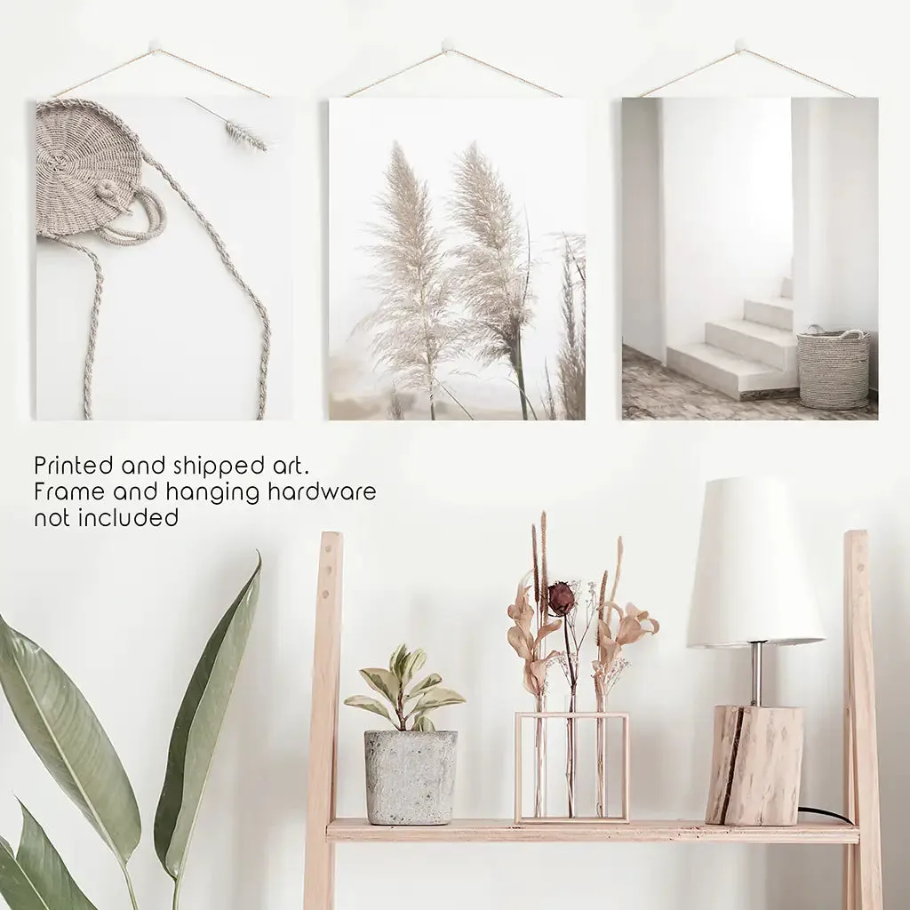 Natural Tones Boho Minimalist Wall Decor. Pampas Grass