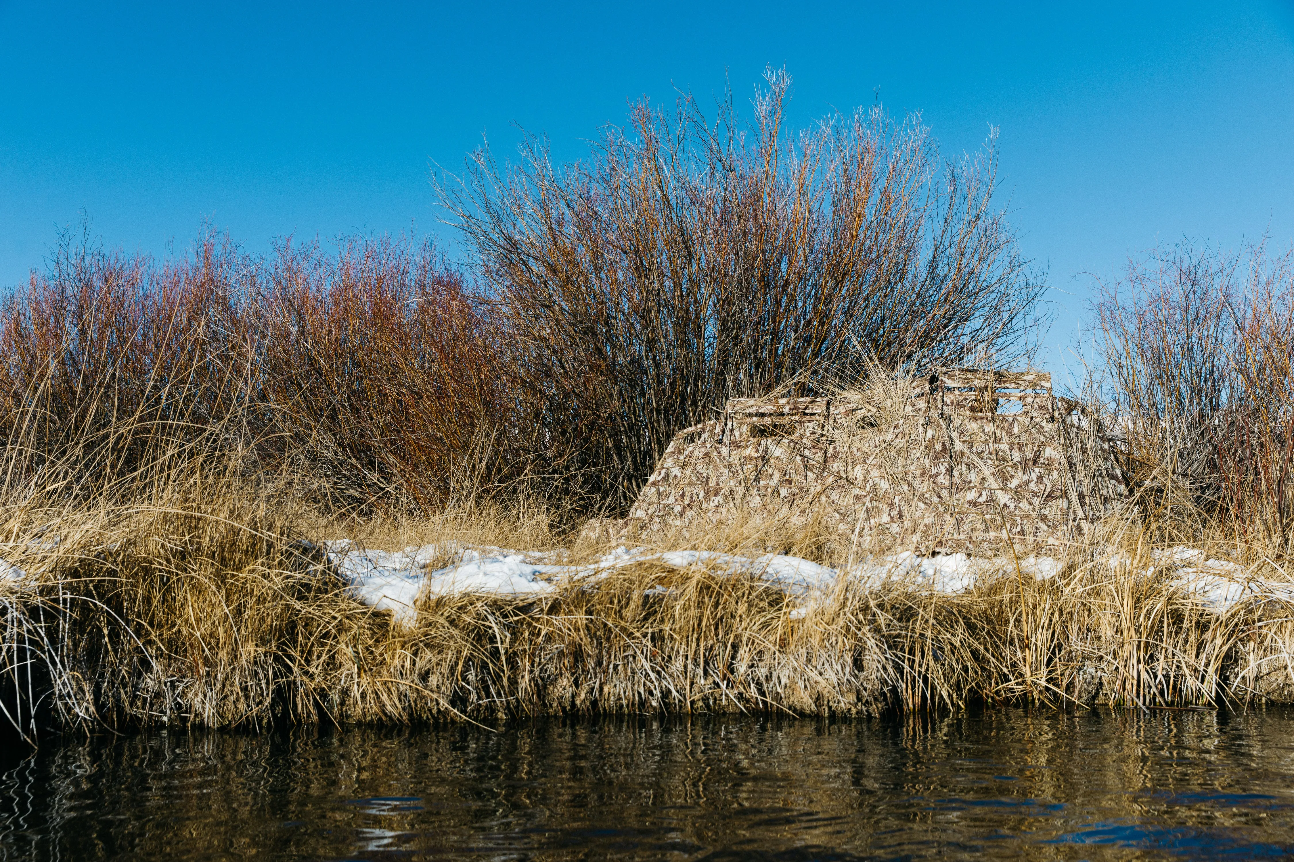 Panel Blind - First Lite Typha™