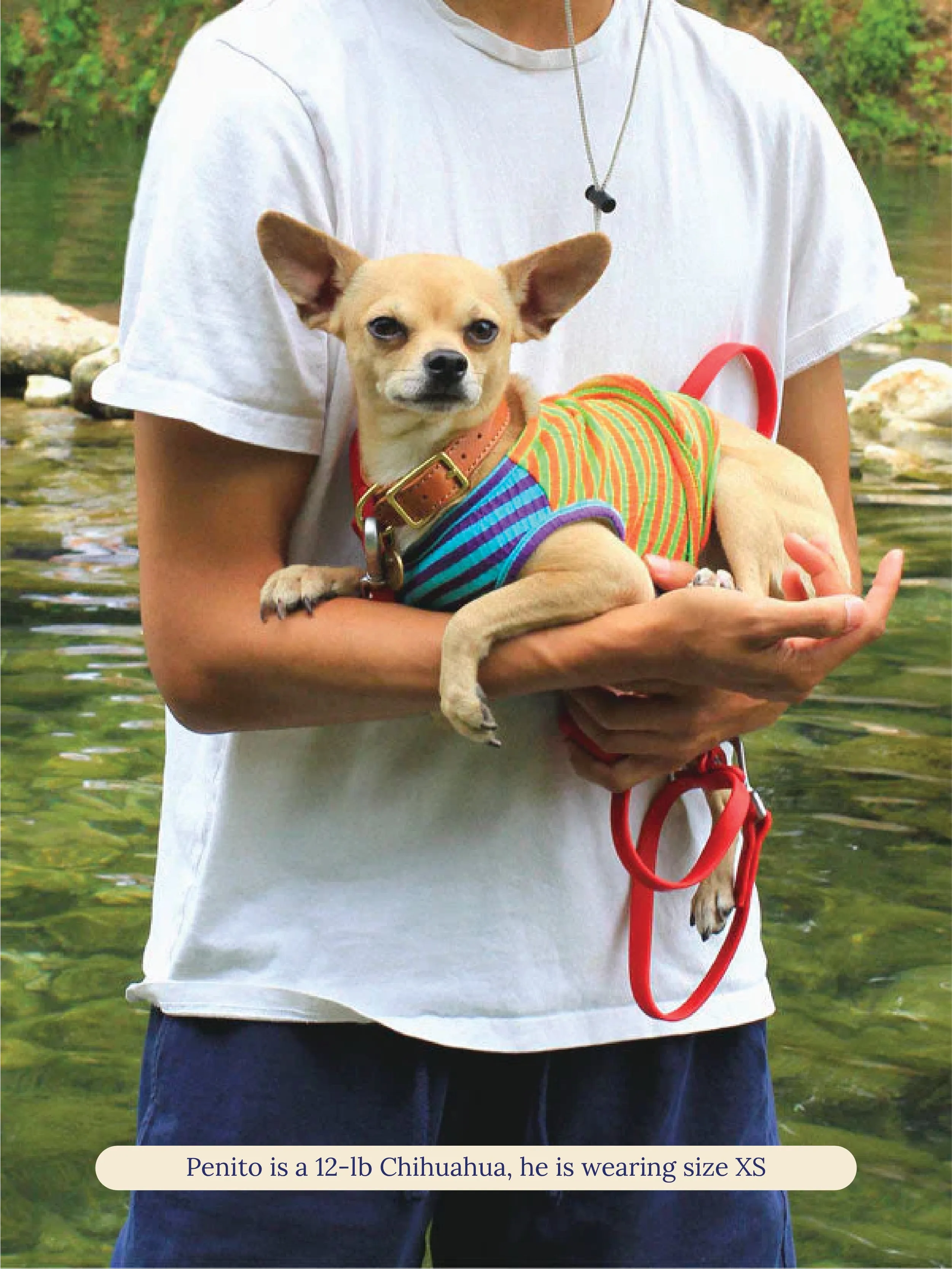 Surf and Turf Sleeveless Shirt