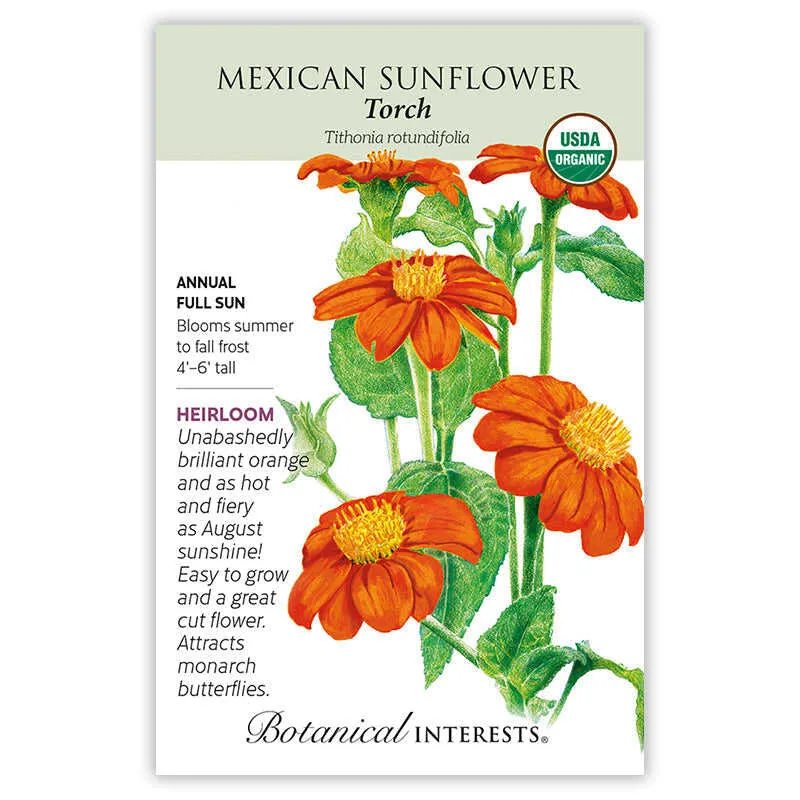 Torch Mexican Sunflower Seeds