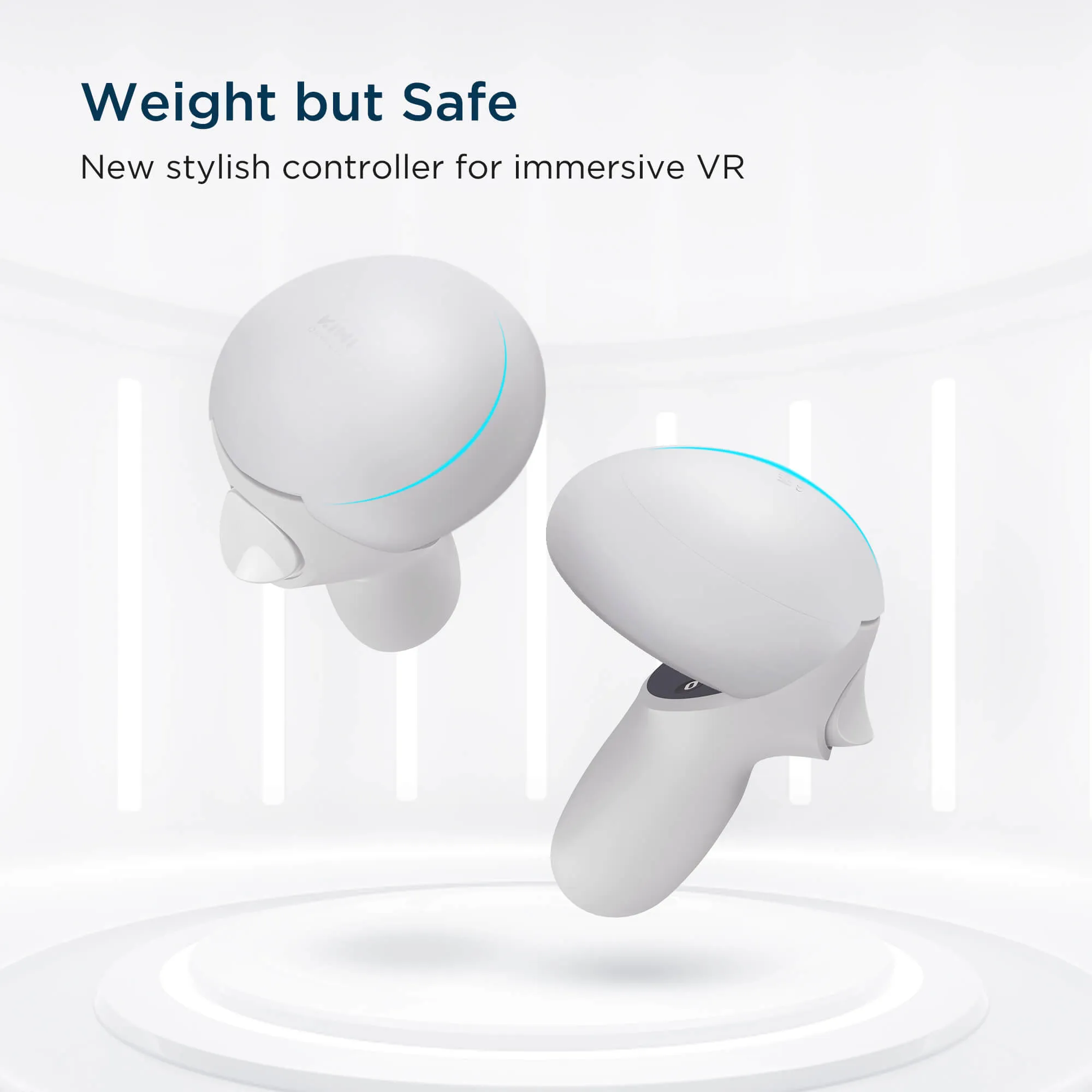 VR Weights